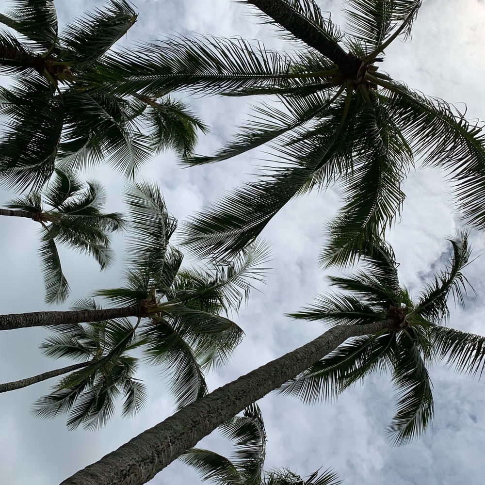 Meet your Posher, Stacey